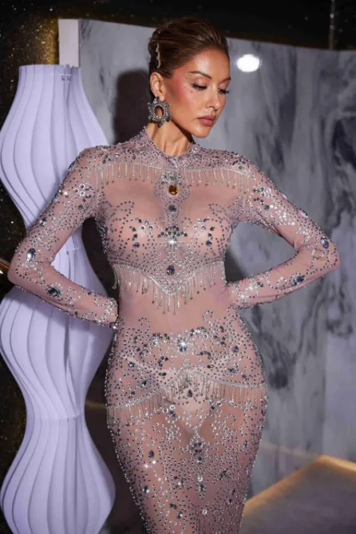 Embellishment | Dresses*Embellishment Alonzo Rhinestone Fringe Mesh Maxi Dress