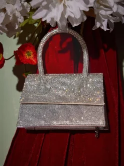 Bags*Mew Mews Fashion Caleo Crystal Clutch In Silver