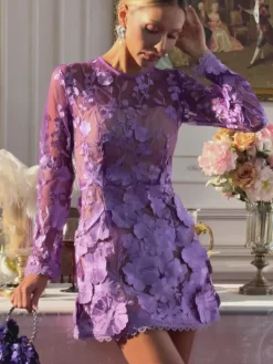 Dresses | Mini Dresses*Mew Mews Fashion Dallan Long Sleeve Floral Embroidered Mini Dress