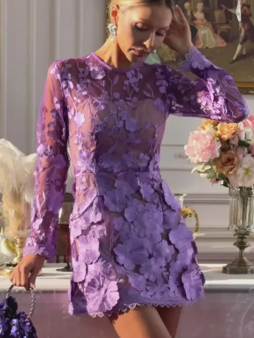Dresses | Mini Dresses*Mew Mews Fashion Dallan Long Sleeve Floral Embroidered Mini Dress