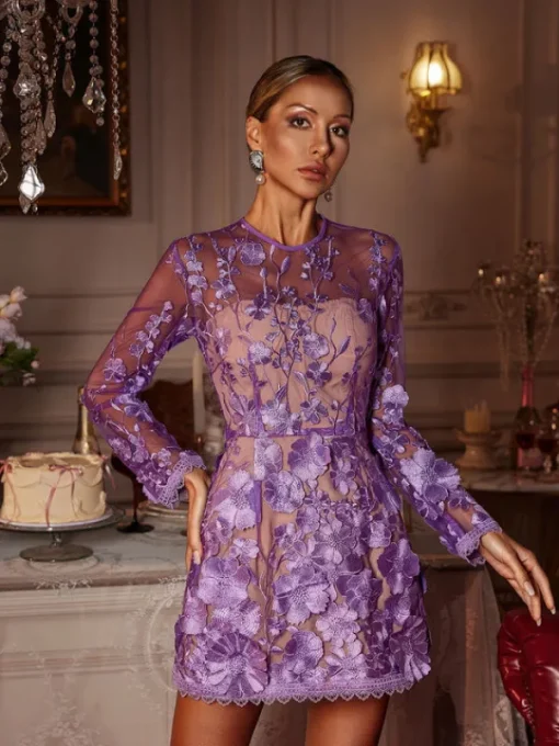 Dresses | Mini Dresses*Mew Mews Fashion Dallan Long Sleeve Floral Embroidered Mini Dress