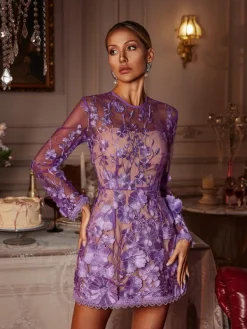 Dresses | Mini Dresses*Mew Mews Fashion Dallan Long Sleeve Floral Embroidered Mini Dress