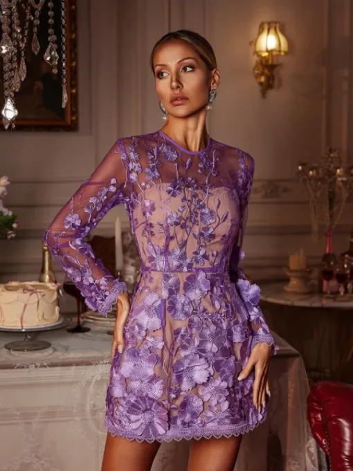 Dresses | Mini Dresses*Mew Mews Fashion Dallan Long Sleeve Floral Embroidered Mini Dress