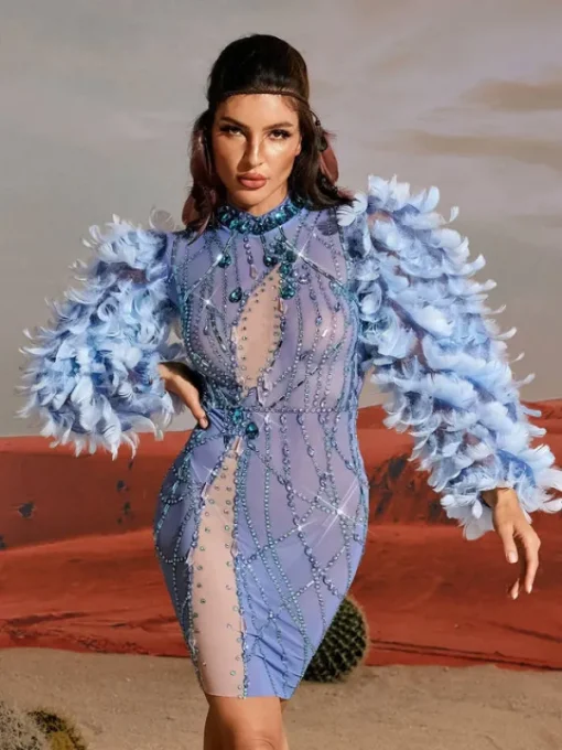 Embellishment | Dresses*Embellishment Platon Long Sleeve Feather Embellished Mini Dress