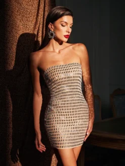 Embellishment | Dresses*Embellishment Ridley Rhinestone Mesh Mini Dress