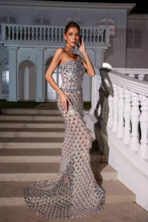 Embellishment | Dresses*Embellishment Sean Strapless Rhinestone Mesh Maxi Dress