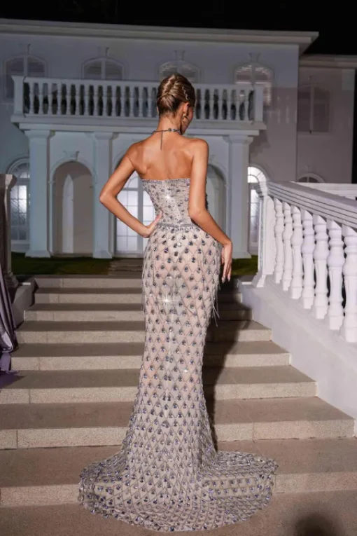 Embellishment | Dresses*Embellishment Sean Strapless Rhinestone Mesh Maxi Dress
