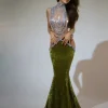Dresses | Maxi Dresses*Jiu Bajia O/S Shelyn Rhinestone Velvet Mermaid Maxi Dress